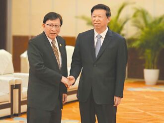 抗美關稅 宋濤：台商可依靠大陸