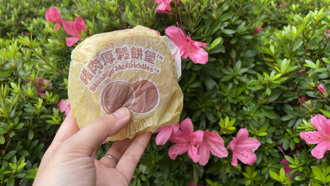 搶麥當勞厚鬆餅堡 免排隊神招不能用了 網崩潰