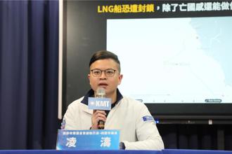 綠共不要逼我選中共？網傳藍白426震撼口號   凌濤急嗆「青鳥反串」