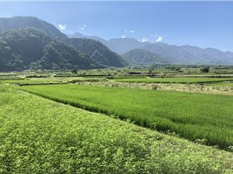 土地開發與生態非零和 農業部：地景多樣性助更多鳥類棲息