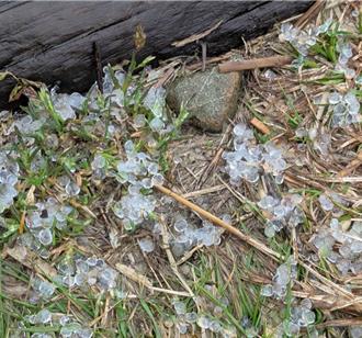 合歡山突下冰雹雨  遊客又驚又喜