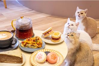 夏日偽出國不用飛！綠舞飯店祭5大亮點 4人入住每人不到3600元