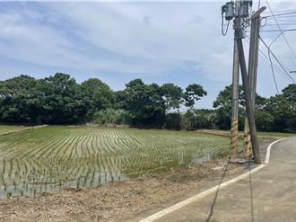 桃園頭洲產業園區卡關7年 中央要求出租比提高至50％