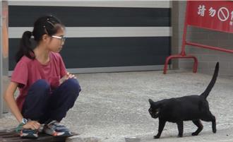 小四女童搶救重傷「流浪貓」 從白天堅守黑夜3小時救出送醫