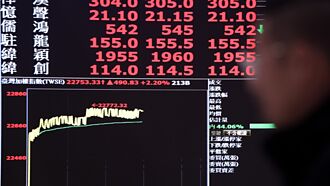 關稅影響有限 視陽Q2營運俏