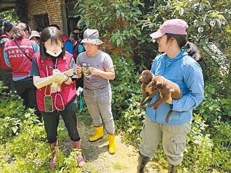 新北 破新店非法繁殖場 重罰百萬