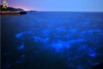 馬祖藍眼淚魅力爆發 限量8場追淚追星達人體驗開放報名