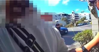 高雄女遭诈900万急报警！女车手落网 「无辜毛孩」陪同上警车