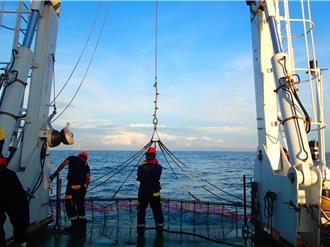 高經濟價值魚種恐枯竭 中山大學籲保育 研究登國際期刊