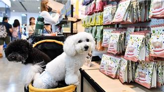 寵物食品安全標準加嚴 新增5種黴菌毒素容許量