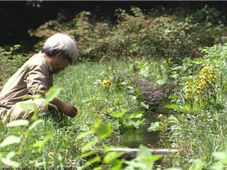宮﨑駿為逃避入學考走進電影院！ 因《白蛇傳》徹底改變人生方向