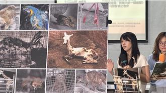 調查六福村動物展演環境遭判刑 動保團體批濫訴打壓 