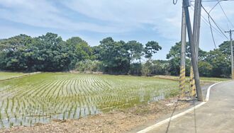 新屋頭洲科園區出租比 擬調為5成