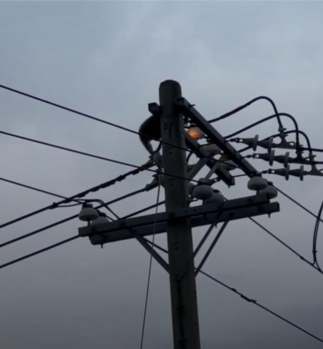 有隻猴子昨天在花蓮縣吉安鄉七腳川溪沿岸電線遊走，途中不慎觸電墜橋，嚇得附近居民趕緊通報求援。（民眾提供／羅亦晽花蓮傳真）