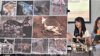 動保調查六福村後場遭判刑 動物園協會回擊：假公益之名干擾專業