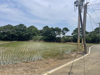 桃園頭洲產業園區卡關7年 中央要求出租比提高至50％