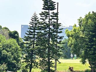 台積電設廠光環 楠梓、中科二期周邊房價抗跌