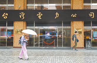 千億救台電 專家：走巧門不治本