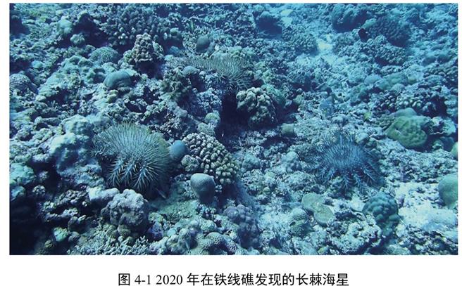 陸首次發布鐵線礁牛軛礁珊瑚礁體檢報告批菲言論毫無科學和事實依據。（大陸央視）