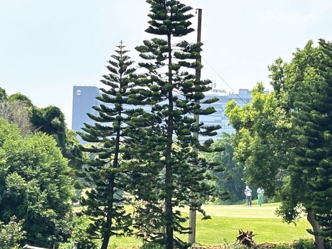 兴农球场4月30日退场，中科台中园区二期扩建案第三季即可启动公共工程与台积电建厂作业。图／业者提供