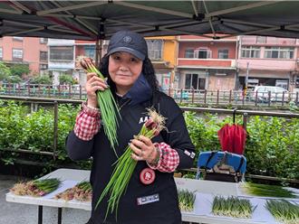 春季新北珠蔥正當時 平溪展售會開跑 消費滿額折百元