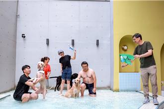 高雄辦大型犬游泳盃 黃金獵犬奪冠 享1個月免費暢泳