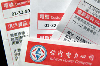 府院齊挺 電價今年凍漲