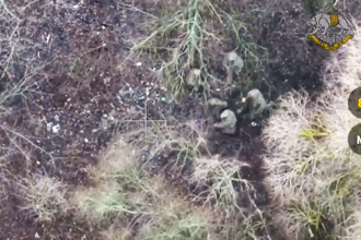 海納百川》俄朝跨國聯合作戰的障礙與對策（蔡元鴻）