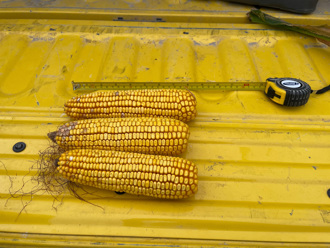 美國農民笑了！ 大陸拒買的農產品 日本擬擴大進口