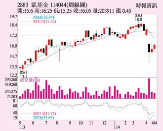 凱基金 三大法人買超