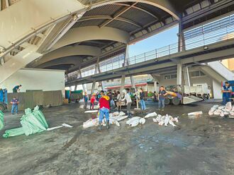 屏東 殺海豚當餌 爆捕鯊惡行 加拿大通報 逮冷血船長