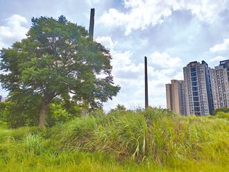 龟山变一道路地下道 4度流标