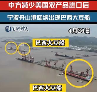 陸減少美農產品進口 陸媒：舟山港陸續出現巴西大豆船