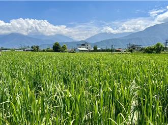 埔里镇民连署并成立自救会 反对水源头盖炉渣掩埋场