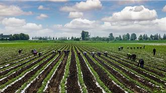 中國大陸強調糧食與能源供應穩定 不需向美採購