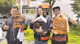 台中 全國綠繡眼大賽 965隻鳥兒齊鳴