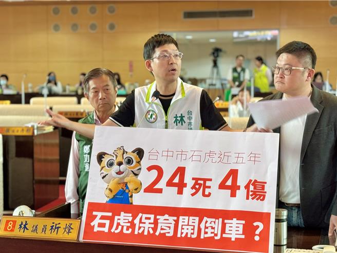 台中市議員林祈烽28日表示，《台中市石虎保育自治條例》上路5年以來，已有24隻石虎死亡、4隻受傷，石虎保育開倒車。（陳淑娥攝）