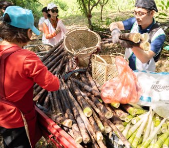 行動力挺地方創生 信義房屋志工走入泰雅部落「手採春筍」