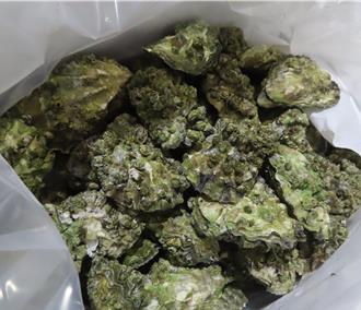 美國生蠔、酪梨重金屬超標 逾4公噸邊境退運銷毀