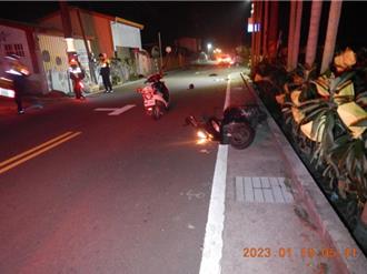 東勢、石岡地區1年22起動物竄出害肇事 　警籲飼主加強照顧管束