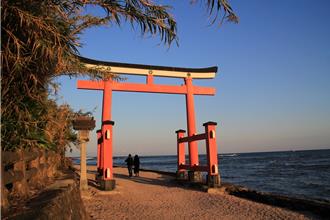 買氣超旺！首季出團成長20％ 旅天下看訂單：能見度已達第4季