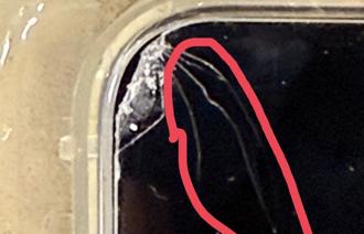 桃園「生生用平板」變抓交替？學生拿到損壞品反遭老師求償