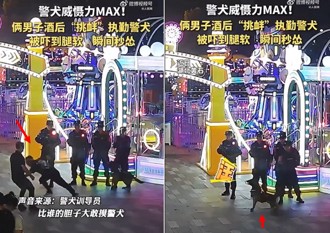 打賭摸警犬遭「驚天一吼」 2陸醉男險摔成狗吃屎