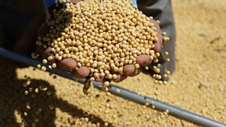 抵制美貨 中國大買巴西大豆