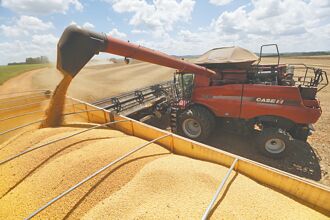 不買美糧食或能源 陸嗆沒影響