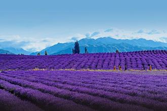 走進美麗中華涼都 夏季避暑勝地推薦