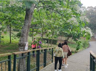 雲林幣新玩法！5／1健康計步開跑 走滿6千步獎勵扭幣抽大獎