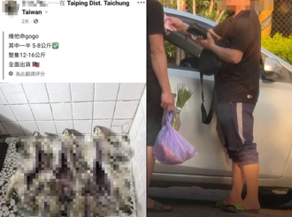 越籍盗猎集团屠狗杀石虎当补品 他辩是山羌 动保处验出「是狗肉」