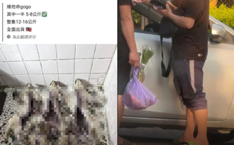 立委籲設動保警察避免屠狗案 農業部稱「沒人力」 陳駿季回應了