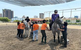 尖叫變歡笑！新北騎警隊帶「折翼天使」體驗馬術